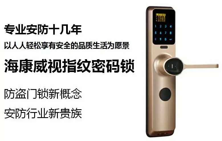 武漢安防公司推薦?？低曋悄苕i